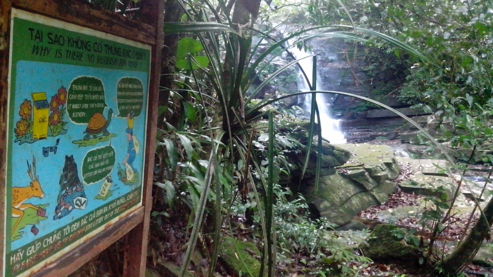 BACH MA NATIONAL PARK 1 DAY